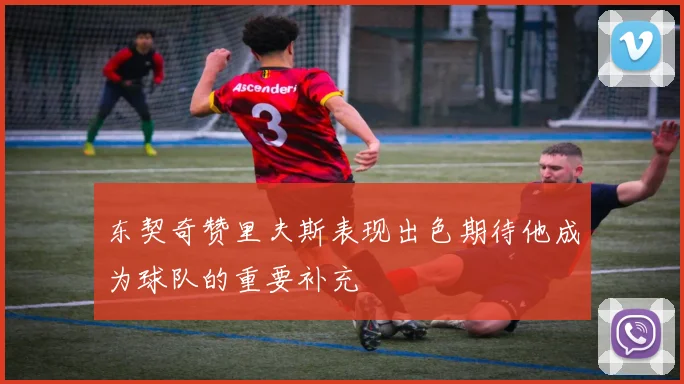 东契奇赞里夫斯表现出色期待他成为球队的重要补充