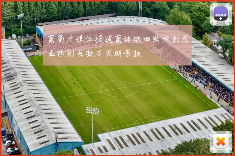 葡萄牙媒体报道葡体欲回购帕利尼亚热刺或激活买断条款